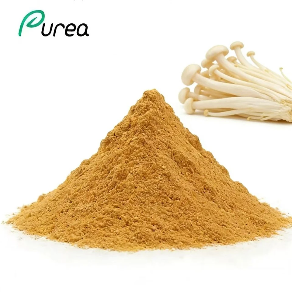 Extracte de bolets Enoki en pols