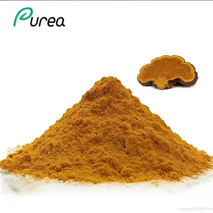 Phellinus Linteus en pols