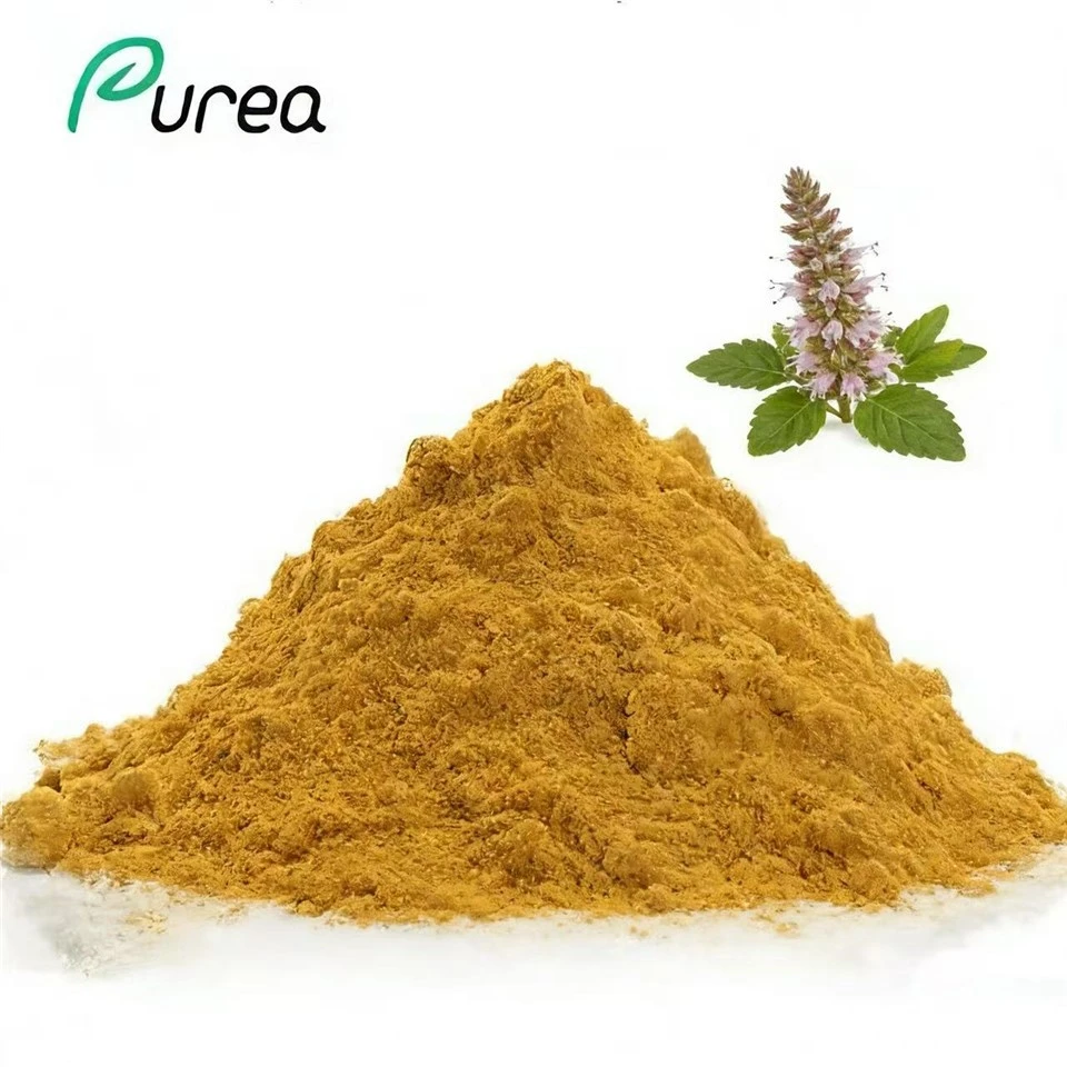 Pols d'extracte de Phlomis Umbrosa