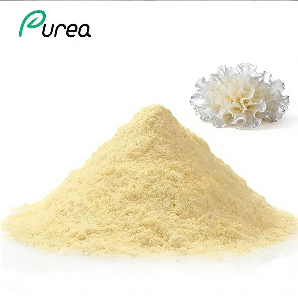 Tremella en pols orgànica
